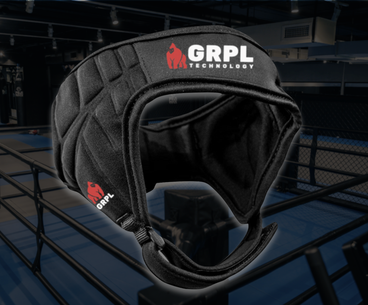 Martial Arts and Boxing Ear Guards