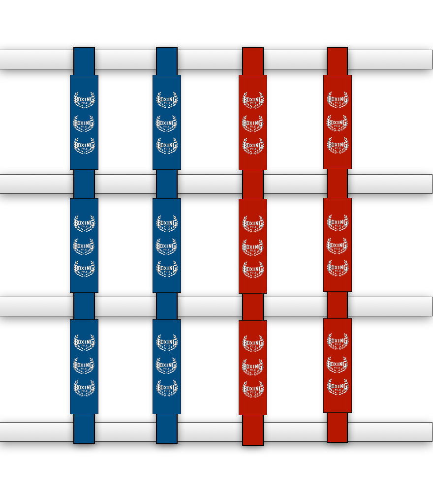 Fuji Boxing Ring Rope Dividers - Red/White/Blue