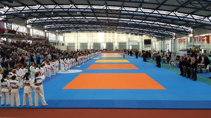 Fuji Tatami Mats for Competition