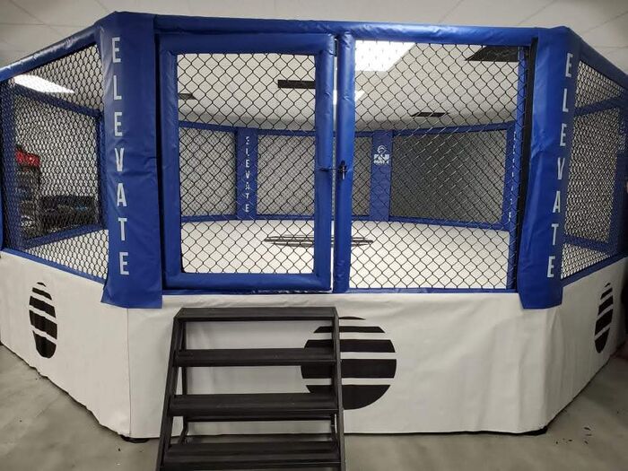 Fuji MMA Cage Vinyl Skirt
