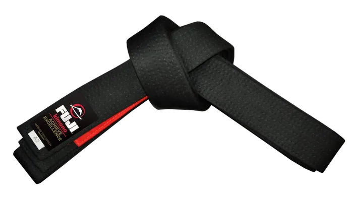 Fuji Jiu-Jitsu Belt for Brazilian jiu-jitsu training, view 7