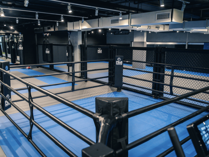 Fuji Boxing Ring