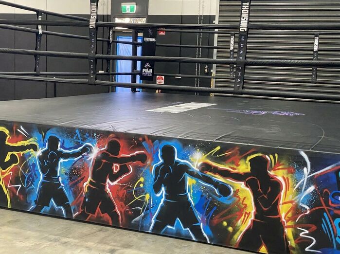 Fuji Boxing Ring Skirts
