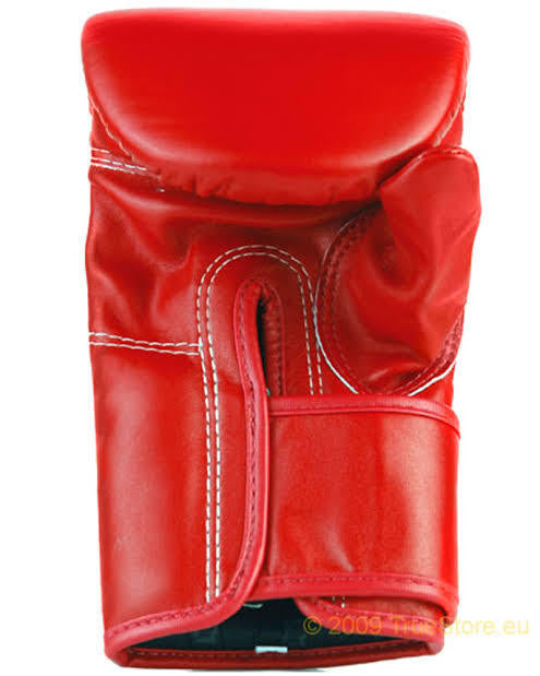 Fairtex TGT7 Cross Training Gloves