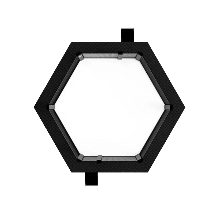 Fuji MMA Octagon Catwalk for Fuji MMA Cages overhead view