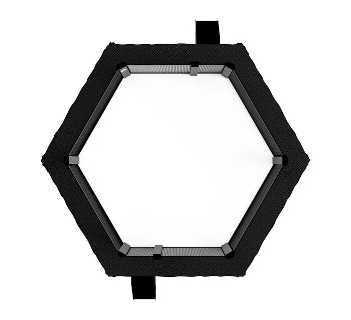 Fuji MMA Octagon Catwalk for Fuji MMA Cages overhead view
