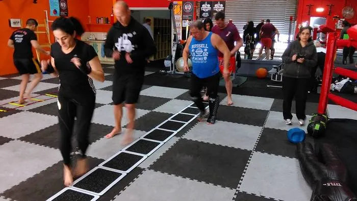 Roll Out Speed Ladder