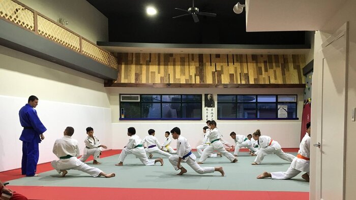 Fuji Training Tatami Mats